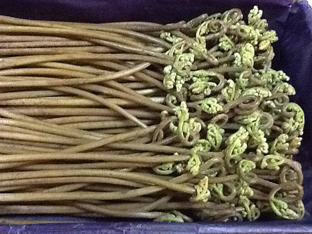 煮物